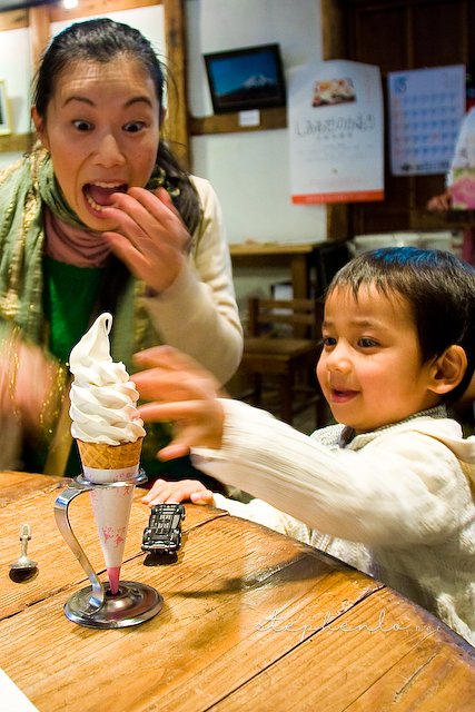 Soy Sauce ice cream at a soy sauce factory