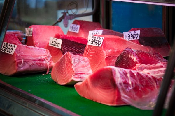 Freshest fish in all of Japan - Tsukiji Market