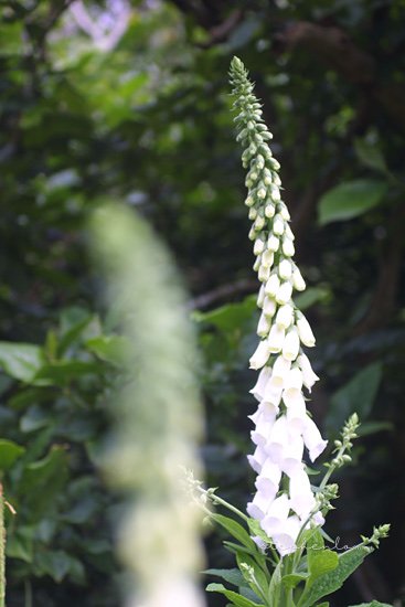 053