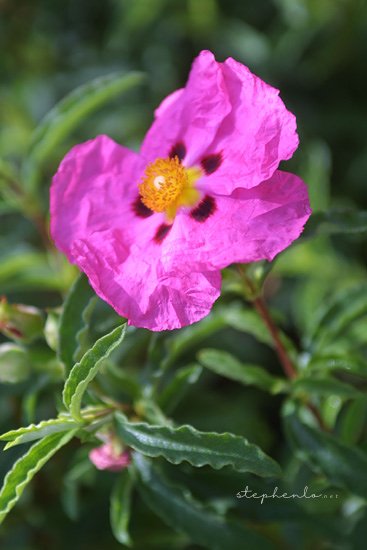 051