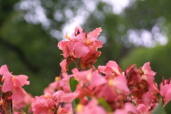 056
