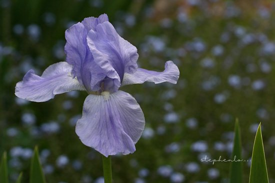019