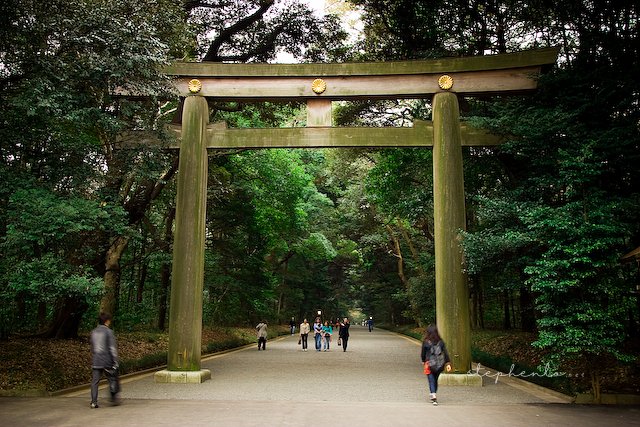 Yoyogi Park