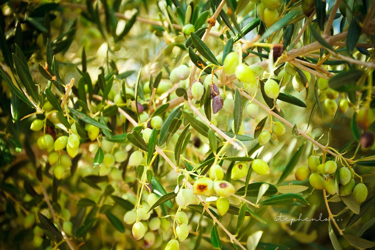 20101005-136
