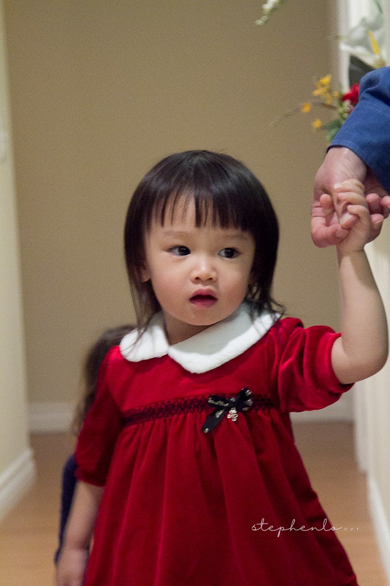 20101225-047