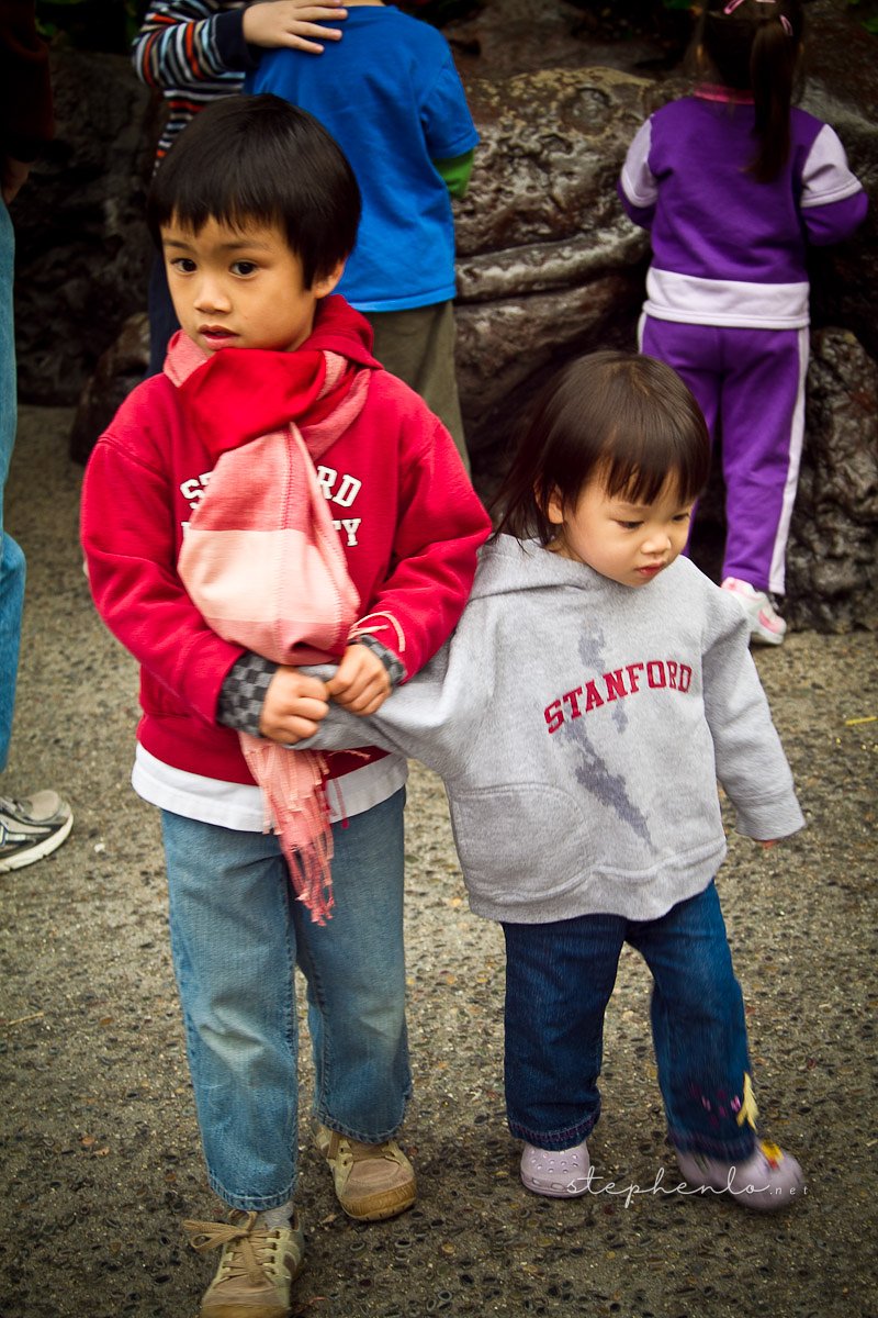 20101226-063