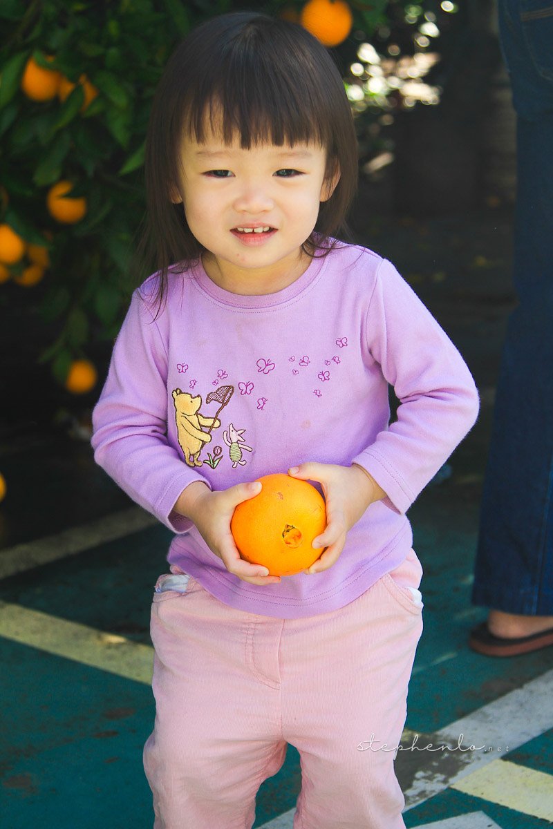20101224-003