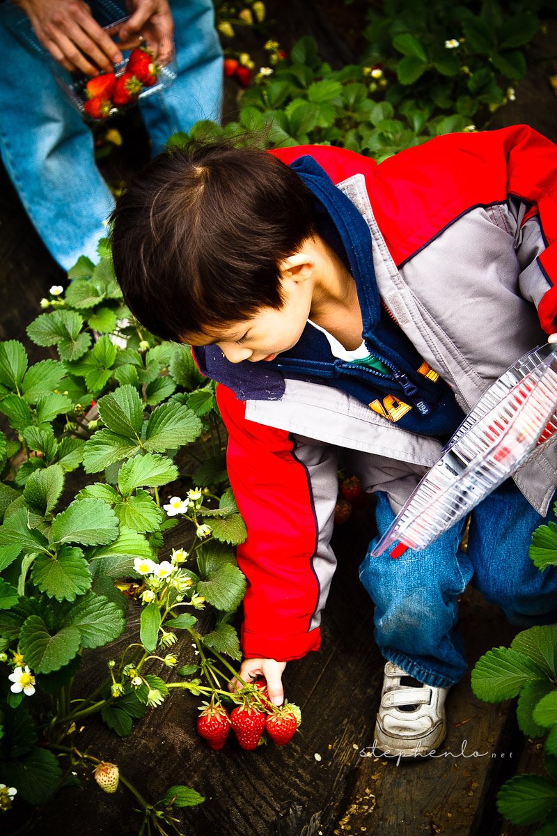 20110319-002