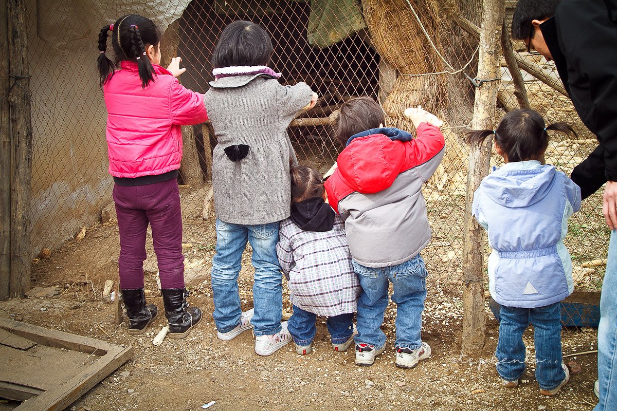 20110319-040