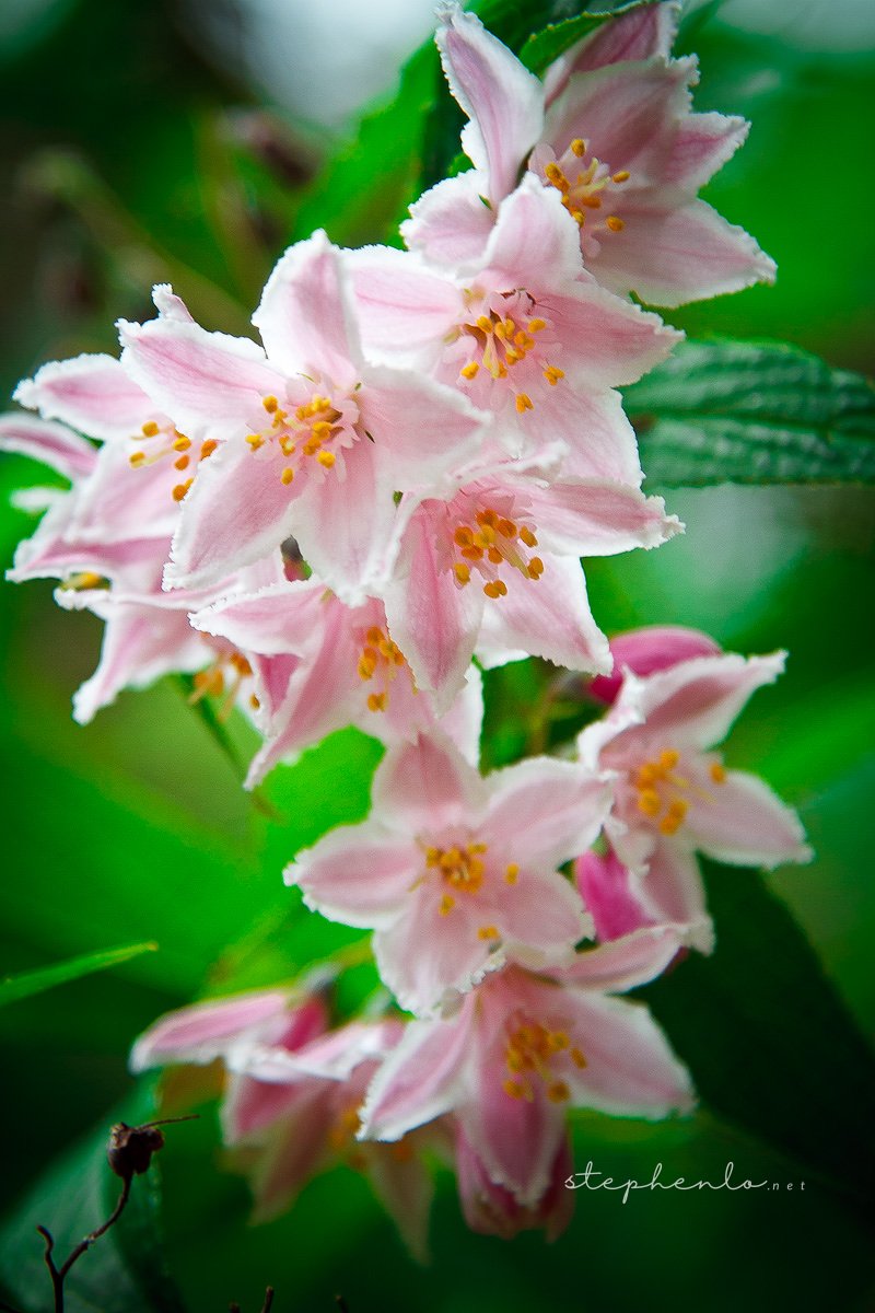 096