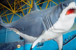 Beijing Aquarium