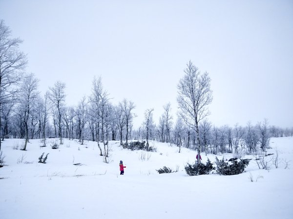 20170128_052