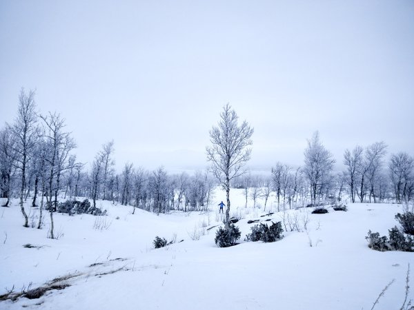20170128_053
