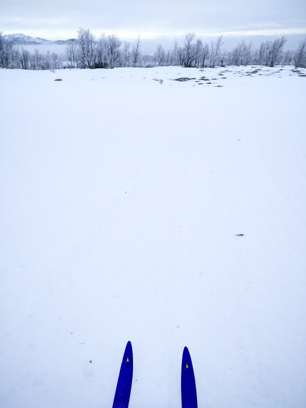 20170128_054