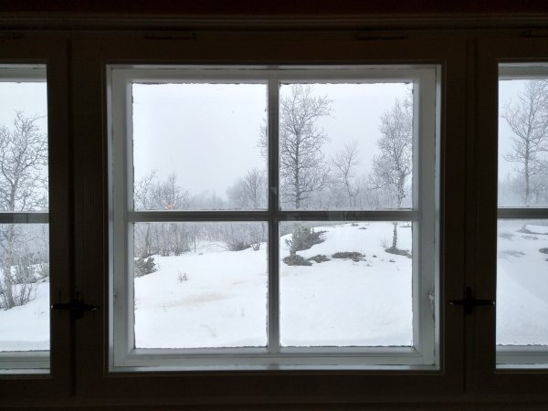 20170128_050