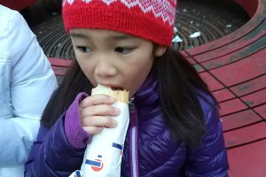 Quick Stop in Copenhagen