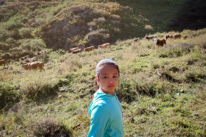 Wutaishan Roadtrip