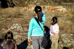 Wutaishan Roadtrip
