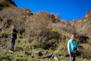 Wutaishan Roadtrip