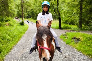 France: Pyrenees to the Alps