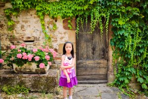 France: Pyrenees to the Alps