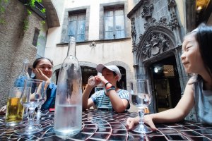 France: Pyrenees to the Alps