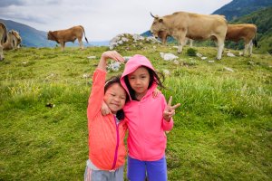 France: Pyrenees to the Alps