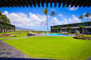 Wowee Maui!