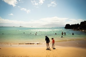 Wowee Maui!