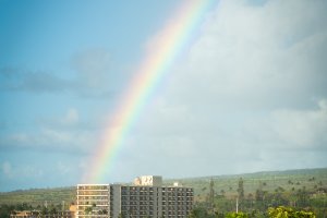 Wowee Maui!