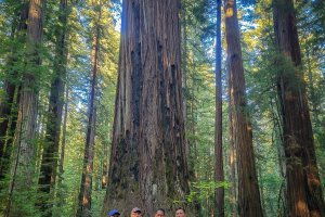 NorCal